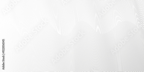 Abstract white blend digital wave lines and technology transparent background. Minimal carve wavy white and gray flowing wave lines and glowing moving lines. Futuristic sound wave lines background.