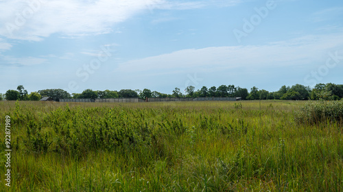historic wooden fort in large field of prairie grass in Nebraska