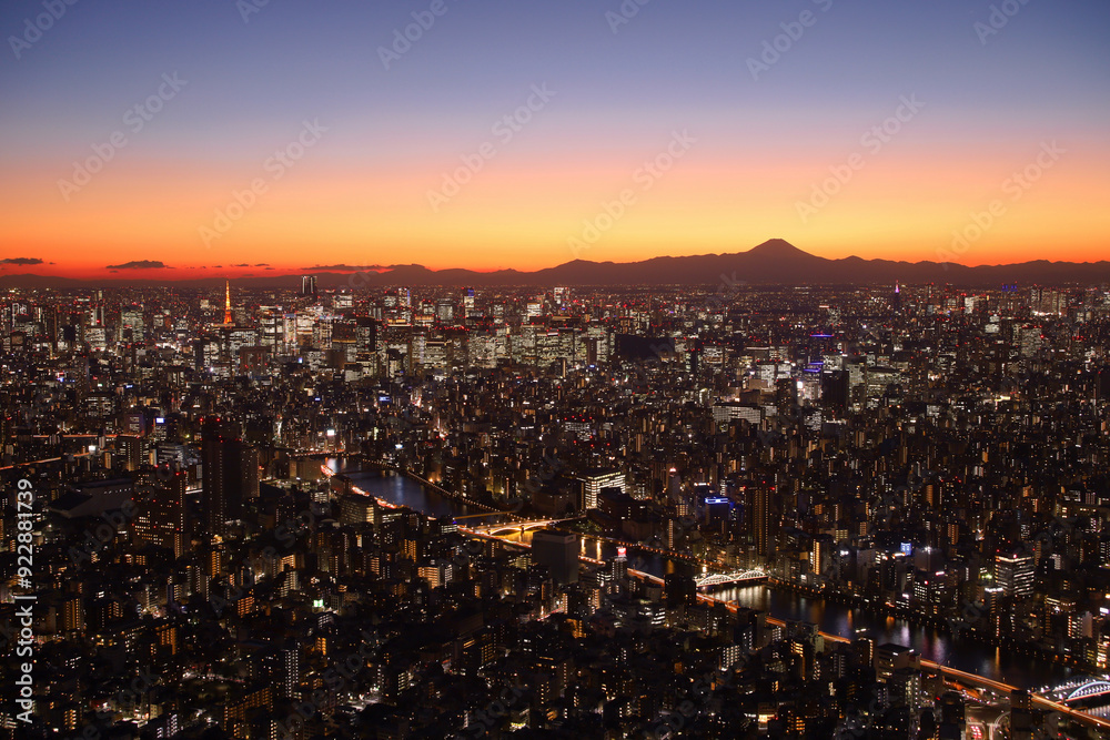 Fototapeta premium 東京都 街並みと夜景