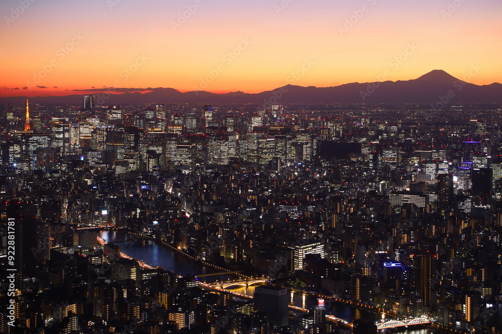 Obraz premium 東京都 街並みと夜景