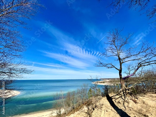 Spring warmth at the Greenbelt Trail along the Kings Park Bluffs and Sunken Meadow Park on the North Shore of Long Island.  A bare tree near clear water, it looks reminiscent of the Caribbean Sea. photo