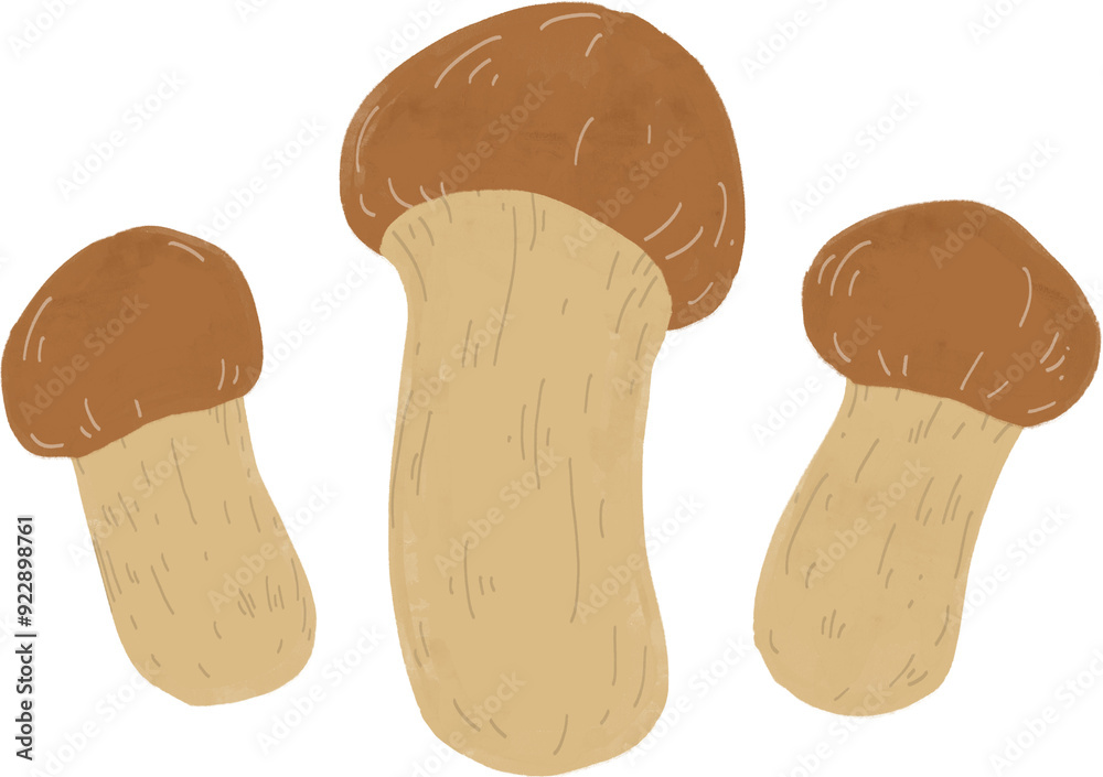 Fototapeta premium 자연산 송이 버섯 일러스트