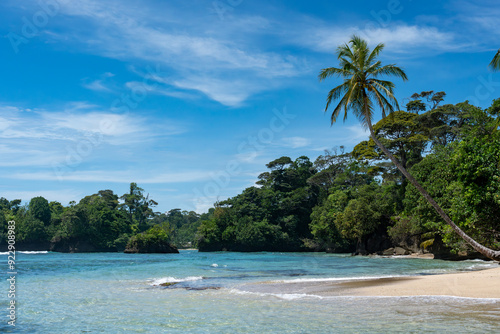 Tropical Beach Paradise with Palm Trees, Turquoise Clear Water, and Blue Sky - Perfect Island Vacation Destination for Relaxation, Sunshine, and Exotic Coastal Scenery in an Unspoiled Caribbean Resort