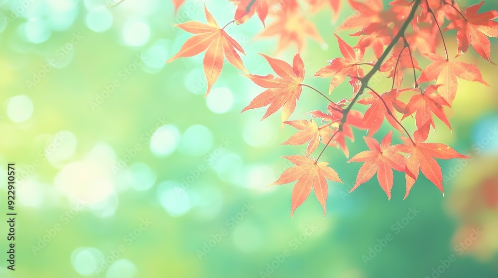 Stunning Autumn Red Maple Leaves Close-Up with Green Bokeh and Blurred Background, Reflecting Japanese Artistic Style in High Resolution and Vivid Natural Colors Stunning Autumn Red Maple Leaves Close-Up with Green Bokeh and Blurred Background, Reflecting Japanese Artistic Style in High Resolution and Vivid Natural Colors