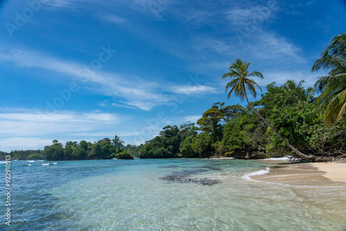 Tropical Beach Paradise with Palm Trees, Turquoise Clear Water, and Blue Sky - Perfect Island Vacation Destination for Relaxation, Sunshine, and Exotic Coastal Scenery in an Unspoiled Caribbean Resort