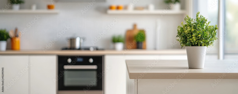 Green Plant On Kitchen Countertop. Green Plant On Kitchen Countertop.