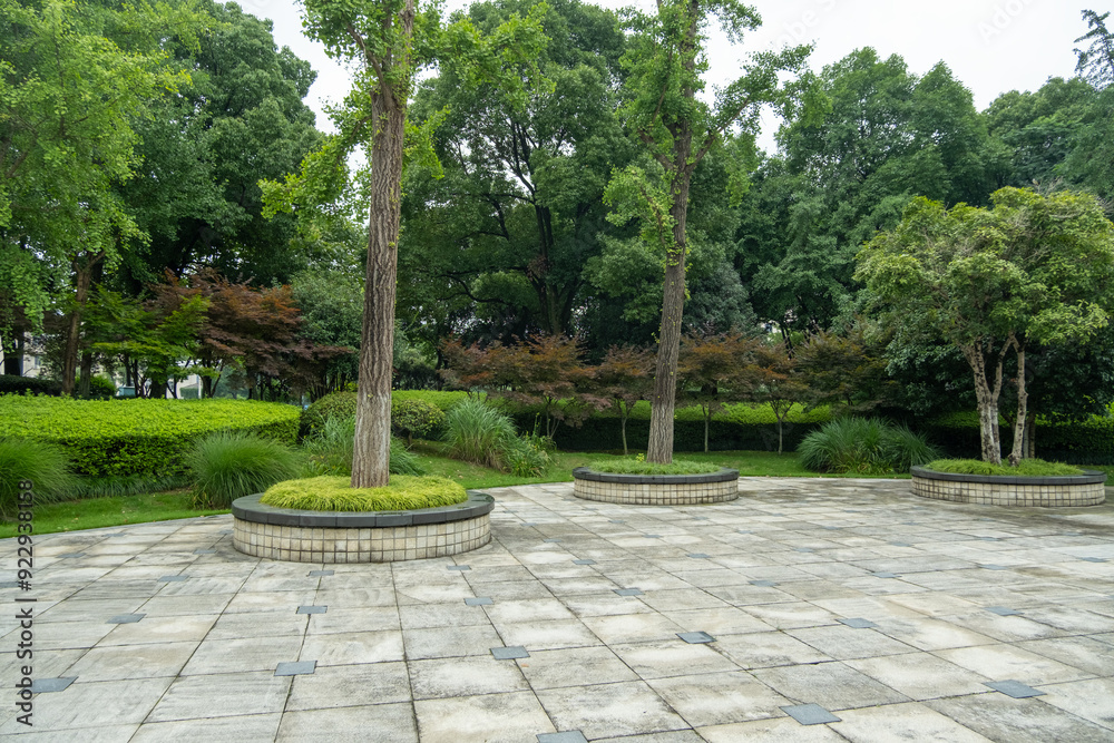 Background texture of a vacant paved outdoor area surrounded by dense green trees and shrubs in a peaceful and well-maintained public park. Background texture of a vacant paved outdoor area surrounded by dense green trees and shrubs in a peaceful and well-maintained public park.