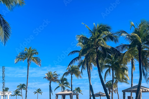 Palm trees and cabanas surround luxurious pool at Florida hotel photo