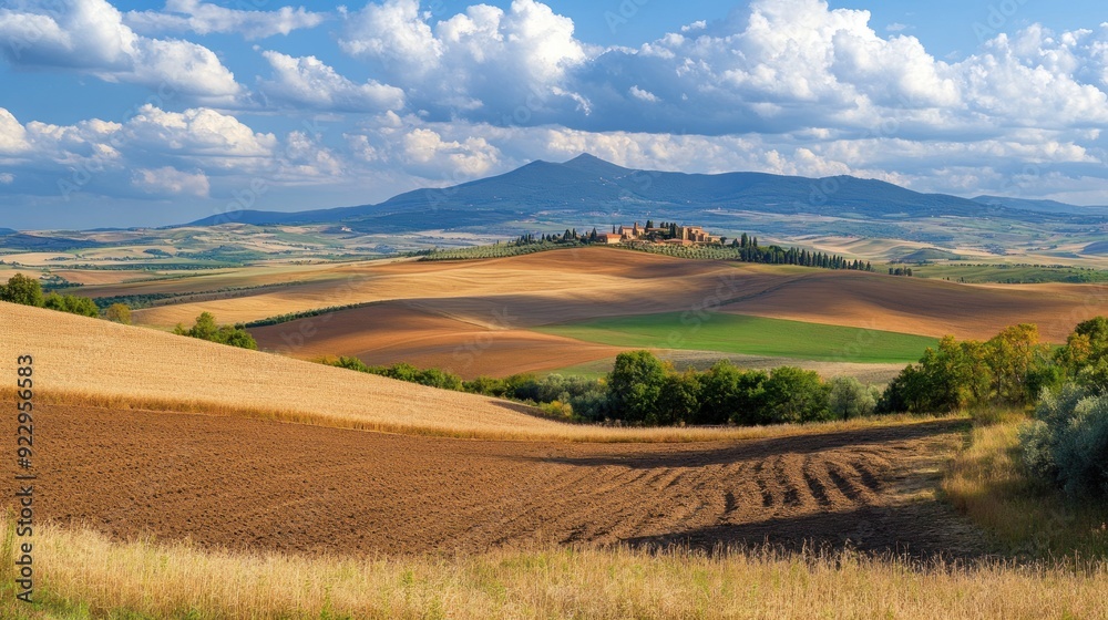 Obraz premium Rolling Hills of Tuscany
