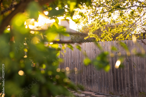 spring in the garden