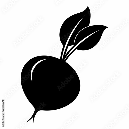 Beetroot Food vegetable silhouette vector illustration on white Background.