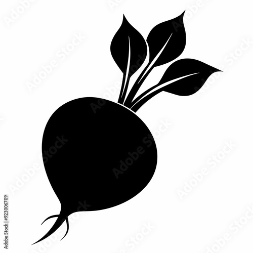 Beetroot Food vegetable silhouette vector illustration on white Background.