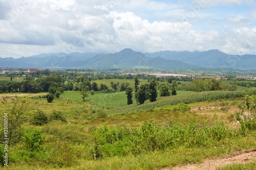 landscape with forest and mountains