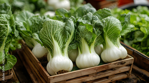 fresh Bok Choy, refreshing , delicious