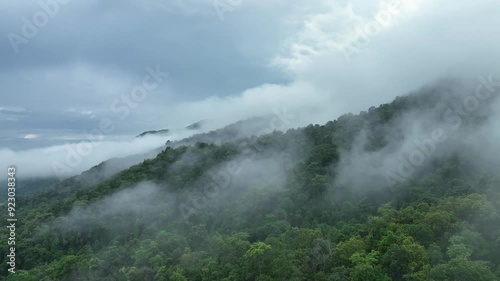 Wallpaper Mural Aerial View of Mountain, Forest, Could at Bo Kluea Districtfrom from a Drone - Nan Province Thailand
 Torontodigital.ca