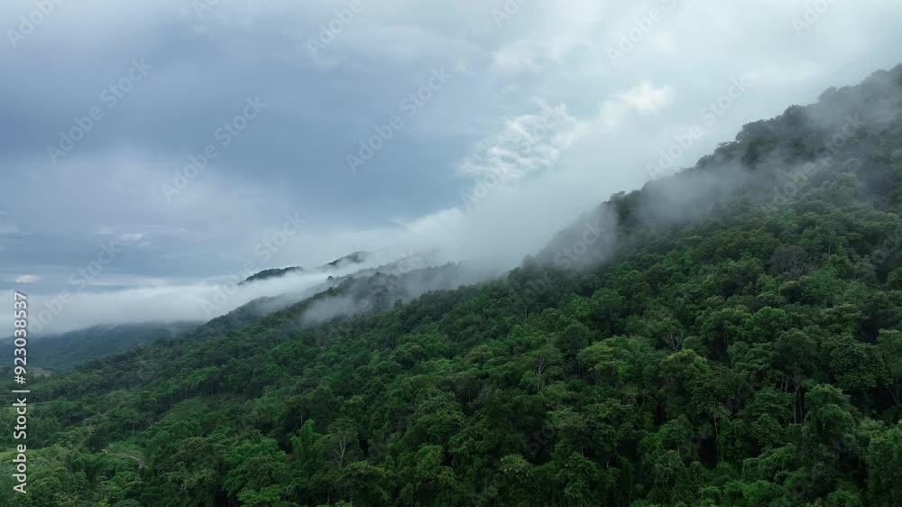 Aerial View of Mountain, Forest, Could at Bo Kluea Districtfrom from a Drone - Nan Province Thailand
Aerial View of Mountain, Forest, Could at Bo Kluea Districtfrom from a Drone - Nan Province Thailand