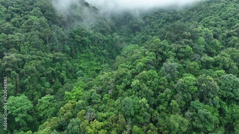 Aerial View of Mountain, Forest, Could at Bo Kluea Districtfrom from a Drone - Nan Province Thailand
Aerial View of Mountain, Forest, Could at Bo Kluea Districtfrom from a Drone - Nan Province Thailand