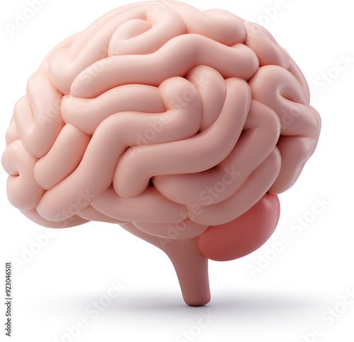 3d Vector Human brain, Cerebrum, Internal organs concept.