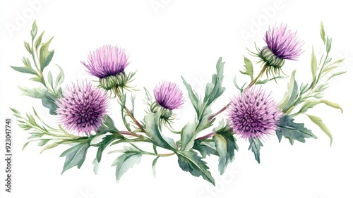Delicate Thistle Wreath in Watercolor Style with Spiky Blooms, Capturing the Beauty of Wild Nature
