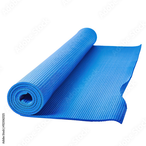 Yoga mat unrolled with small weights side view isolate on transparency background