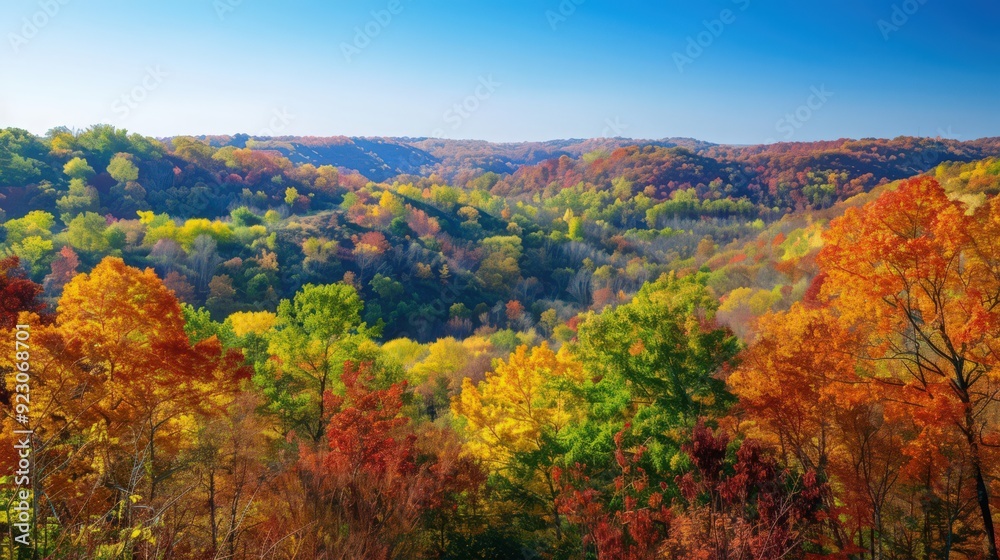 A scenic overlook of rolling hills covered in brilliant autumn foliage, with trees showcasing a spectrum of fall colors against a clear blue sky A scenic overlook of rolling hills covered in brilliant autumn foliage, with trees showcasing a spectrum of fall colors against a clear blue sky