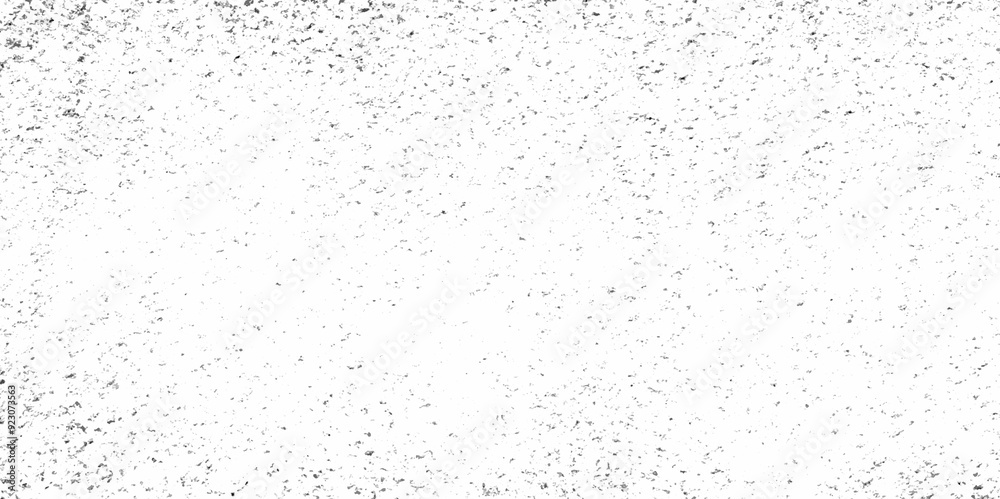 Abstract white and black texture of a grunge concrete wall with cracks and scratches background. distressed grunge concrete wall texture. abstract vintage of old surface texture background. Abstract white and black texture of a grunge concrete wall with cracks and scratches background. distressed grunge concrete wall texture. abstract vintage of old surface texture background.