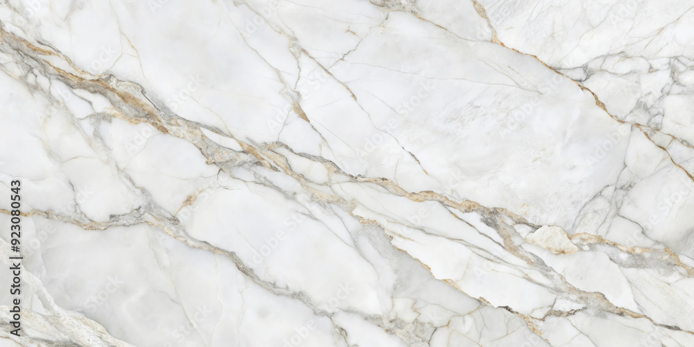 White Marble Texture: A seamless, high-resolution image capturing the intricate veins and subtle patterns of a white marble surface. White Marble Texture: A seamless, high-resolution image capturing the intricate veins and subtle patterns of a white marble surface.