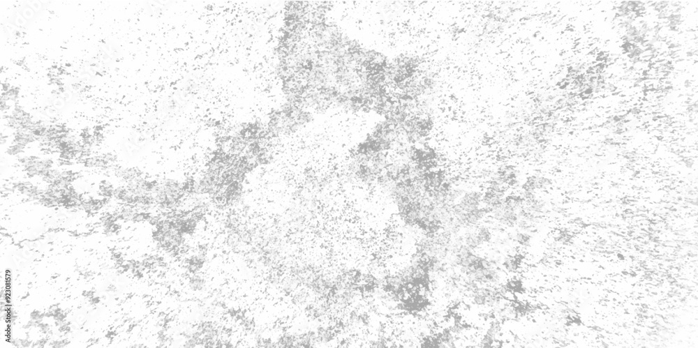 Abstract white and black texture of a grunge concrete wall with cracks and scratches background. distressed grunge concrete wall texture. abstract vintage of old surface texture background. Abstract white and black texture of a grunge concrete wall with cracks and scratches background. distressed grunge concrete wall texture. abstract vintage of old surface texture background.