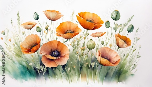 Mohn blumen Hintergrund Aquarell 