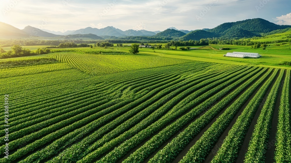 An aerial view of a large organic farm with crop rotations, greenhouses, and irrigation systems, highlighting sustainable practices. An aerial view of a large organic farm with crop rotations, greenhouses, and irrigation systems, highlighting sustainable practices.