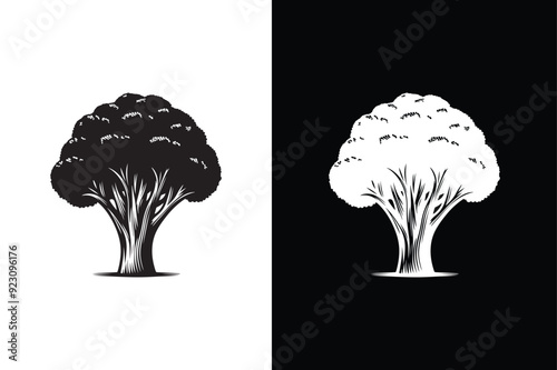 Broccoli Icon silhouette for design. Easily editable. Broccoli Icon vector illustration black