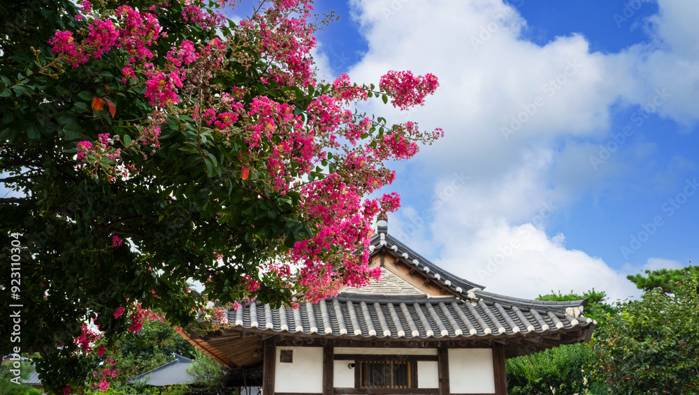 Red crape myrtle blooming in a traditional Korean Hanok garden Red crape myrtle blooming in a traditional Korean Hanok garden