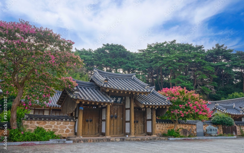 Red crape myrtle blooming in a traditional Korean Hanok garden Red crape myrtle blooming in a traditional Korean Hanok garden