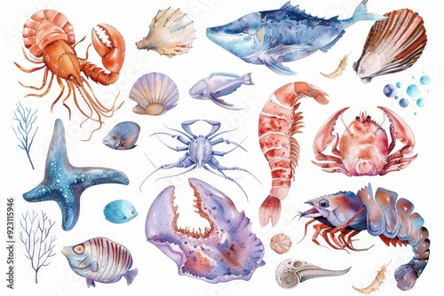 Set of watercolor pastel underwater sea animal, marine seafood illustration on white background photo