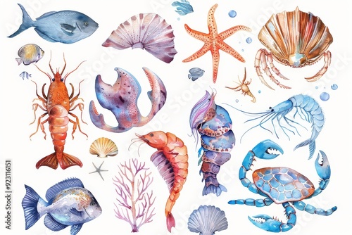 Set of watercolor pastel underwater sea animal, marine seafood illustration on white background photo