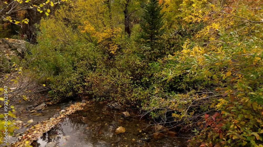 Drone slowly flying over a river in late autumn fall October November lots of colorful trees as you move forward through the forest seeing a beautiful boulder rock going over it into the dense forest Drone slowly flying over a river in late autumn fall October November lots of colorful trees as you move forward through the forest seeing a beautiful boulder rock going over it into the dense forest