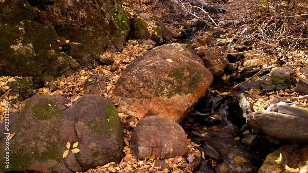 Drone hovering over a river bed with water trickling down some rocks in late autumn fall October November lots of orange and yellow leaves on ground Drone hovering over a river bed with water trickling down some rocks in late autumn fall October November lots of orange and yellow leaves on ground
