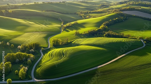 Aerial view of the rolling hills of Moravia in spring, with vibrant green fields and biobelts creating a stunning ribbon-like pattern across the landscape.