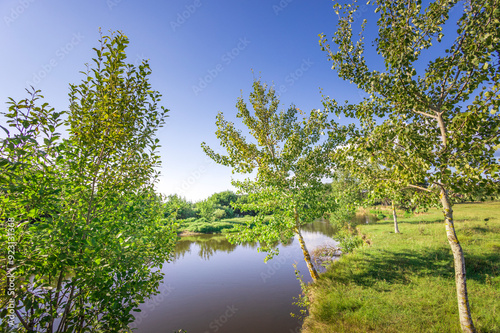 A serene scene of a pond with trees in the background