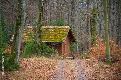 Schönbuch Nature Park in the Stuttgart Region photo