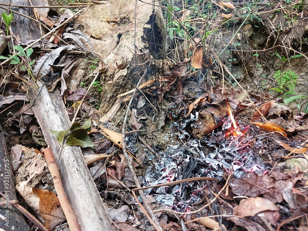 Dry leaves from burning. Dry leaves Dry leaves from burning. Dry leaves