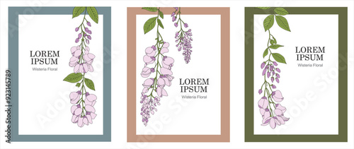 Set of line drawings of wisteria flowers for designing prints, signs, posters and online titles.