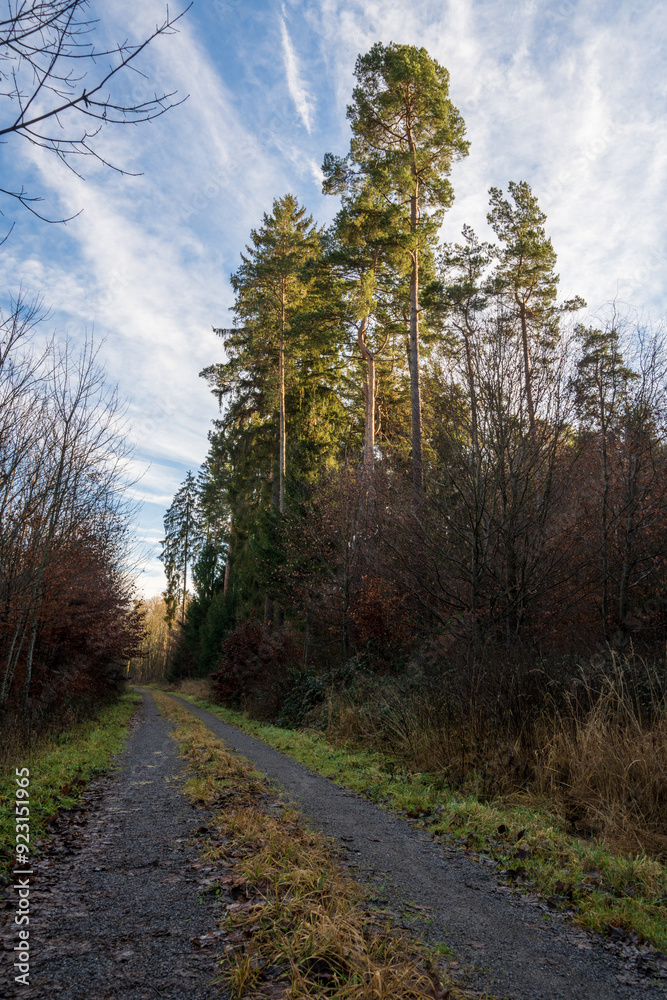 Schönbuch Nature Park in the Stuttgart Region Schönbuch Nature Park in the Stuttgart Region