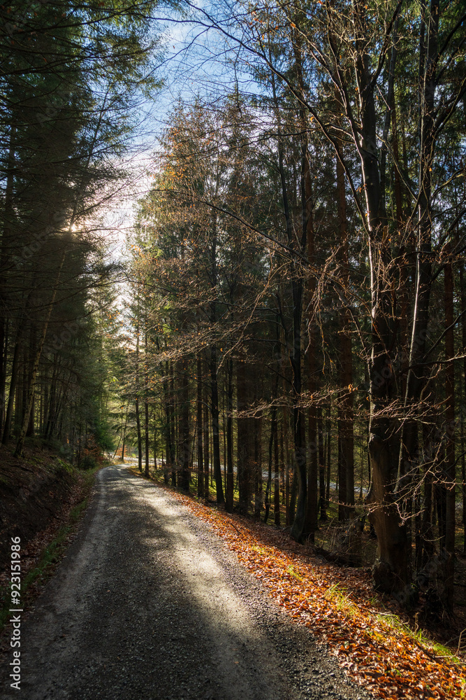Naklejka premium Schönbuch Nature Park in the Stuttgart Region