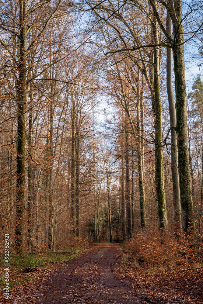 Schönbuch Nature Park in the Stuttgart Region Schönbuch Nature Park in the Stuttgart Region