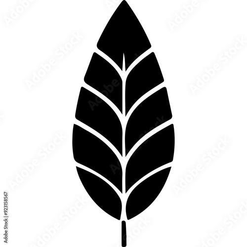 Plant Leaf