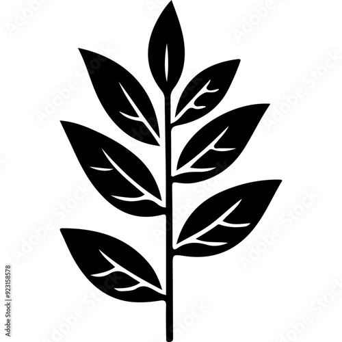 Plant Leaf