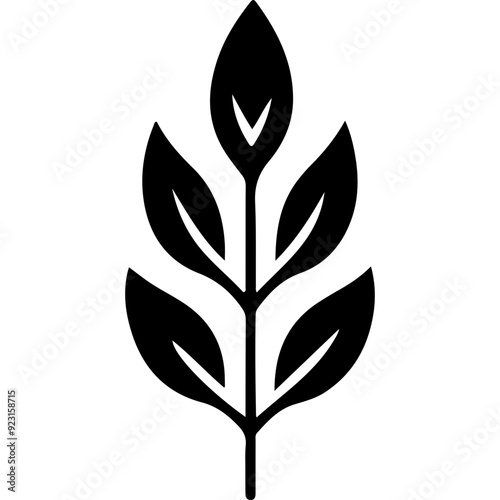 Plant Leaf