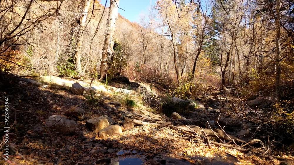 Fly through drone shot of a river bed that is drying up for the season with beautiful bare trees and fall autumn colors all around Fly through drone shot of a river bed that is drying up for the season with beautiful bare trees and fall autumn colors all around