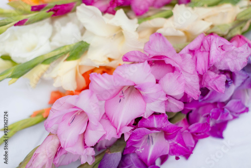 Background of multicolored  flowers. Multicolored gladioli on a white background.